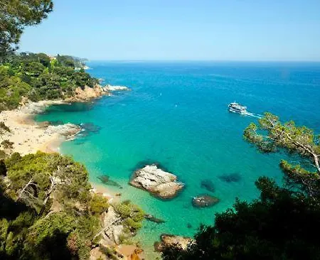 Papalus Hébergement de vacances