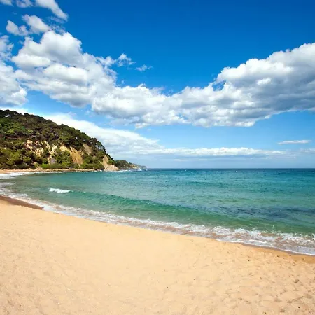 Papalus * Lloret de Mar